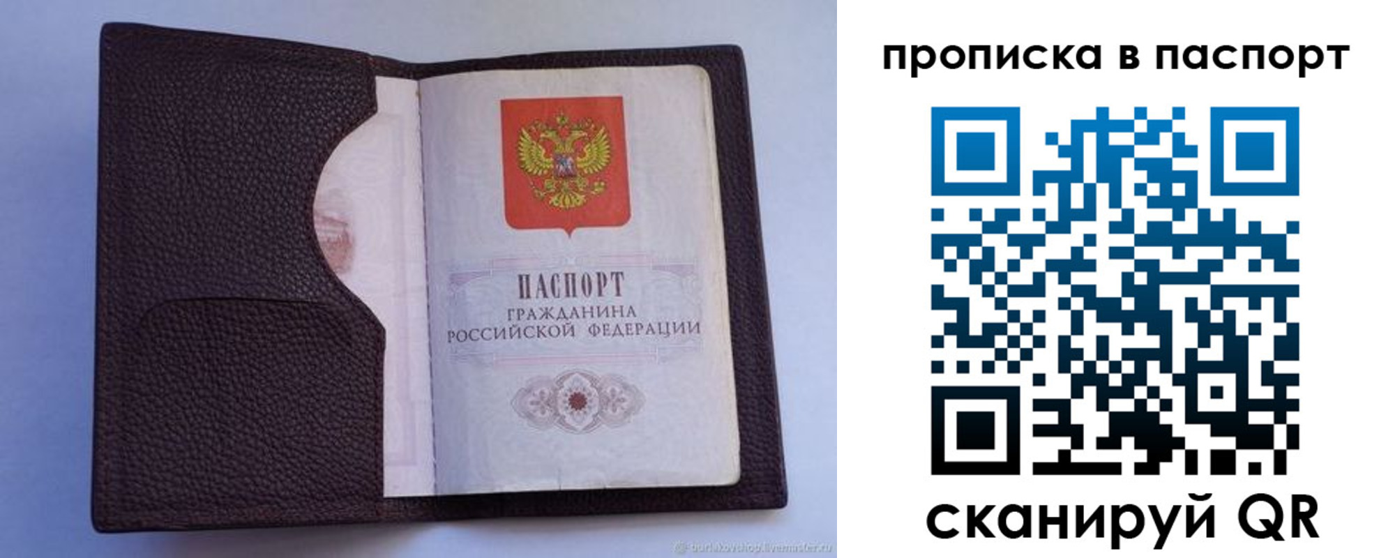 прописка законно в Рязанской области